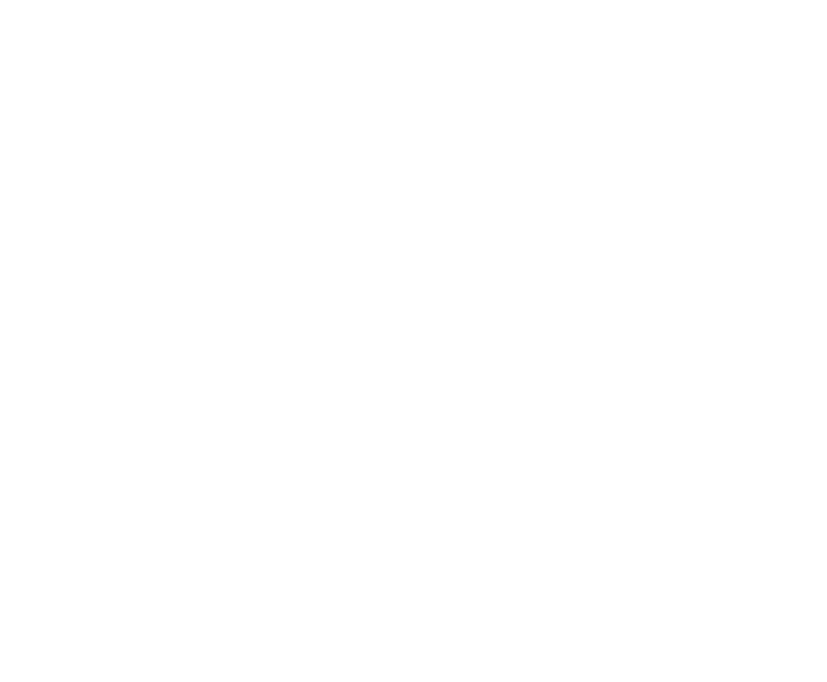 Chatsooner logo